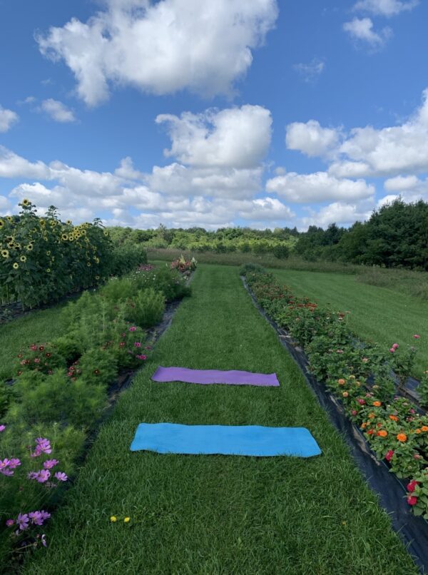 Yoga Flowers 6